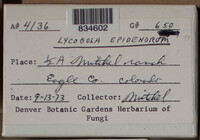 Image Associated With the Occurence